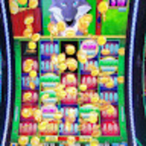 Meet your Posher, Terry